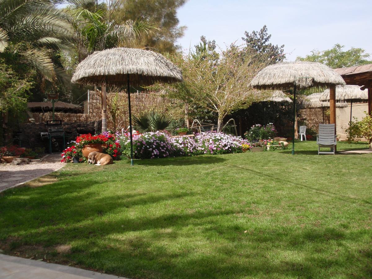 Idan Lodge In The Arava Paran Bagian luar foto