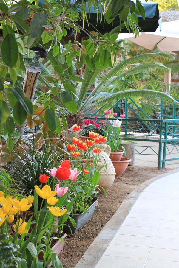 Idan Lodge In The Arava Paran Bagian luar foto
